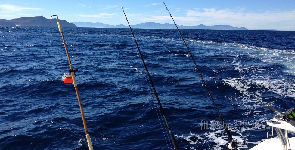 ◆深圳海釣?zāi)康牡赝扑]：